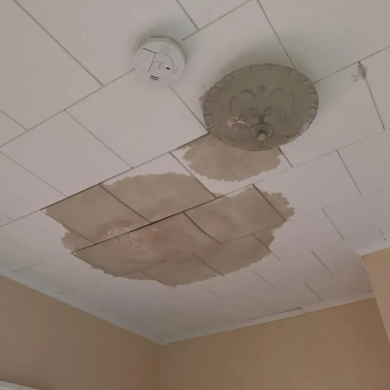 Ceiling Water Damage Repair in Unionville, GA